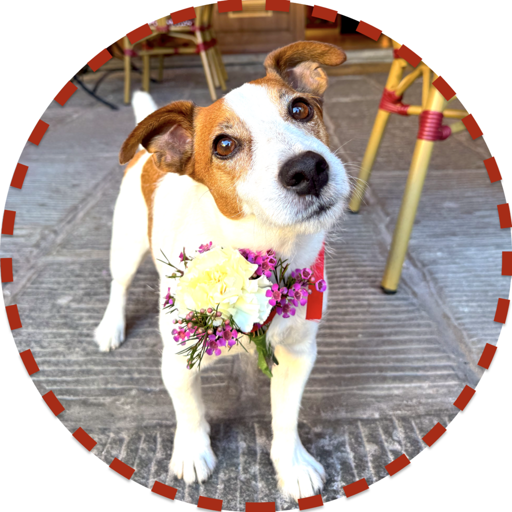 Osteria-Canto-Ghibellino-WeddingParty